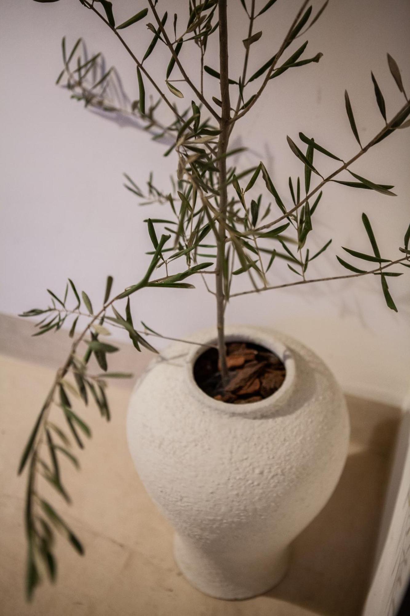 Cosy Riad マラケシュ エクステリア 写真